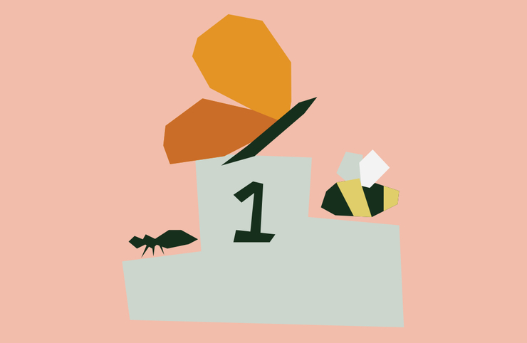 Illustrated podium with insects on it, on a pink background