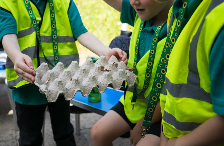 Children looking at minibeasts