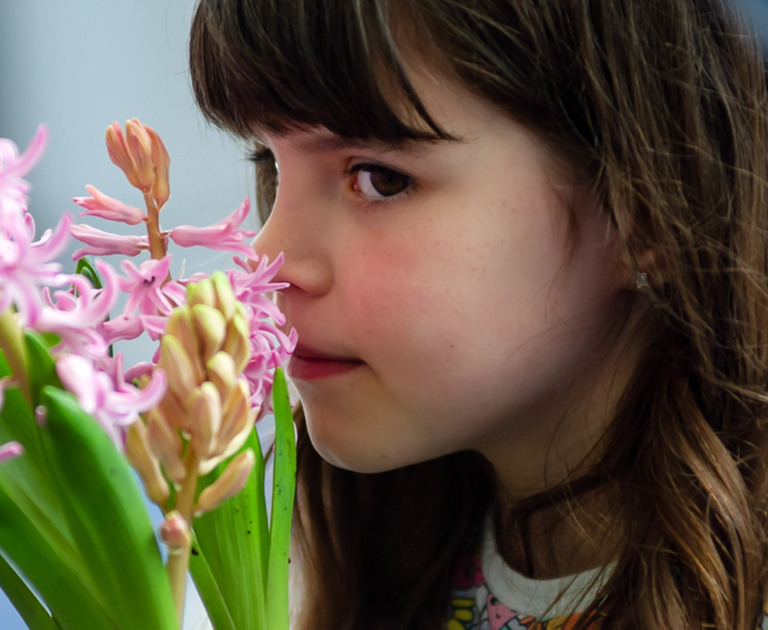 A little girl smells a pink flower in a pot